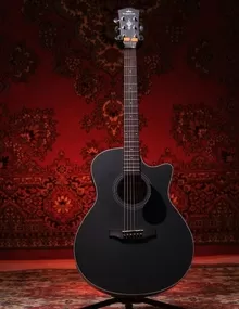Акустическая гитара Naga S-20GS