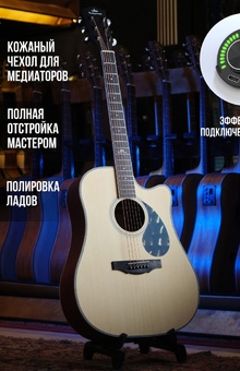 Трансакустические гитары