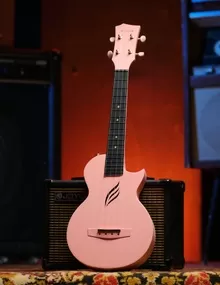 Электроакустическая гитара Taylor 517E