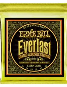 Струны для акустической гитары Ernie Ball Earthwood 80/20 Bronze Extra Light 10-50