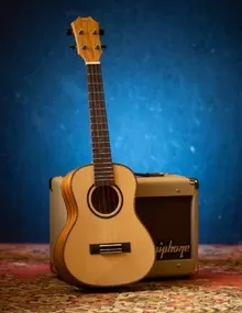 Электроакустическая гитара Taylor 512CE 12-Fret