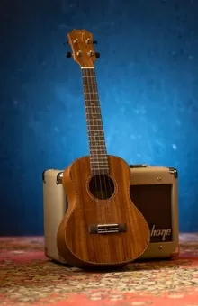 Каталог гитар