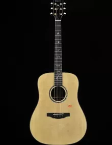 Акустическая гитара aNueNue L100