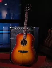 Акустическая гитара Martin D-28
