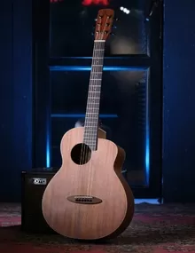 Тревел гитара aNueNue MC10-QS