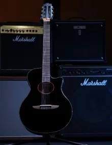 Классическая гитара Yamaha C40 4/4
