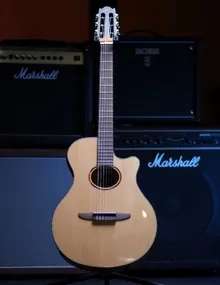 Электроакустическая гитара Maton EBW808C