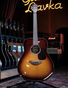 Акустическая гитара aNueNue LS600