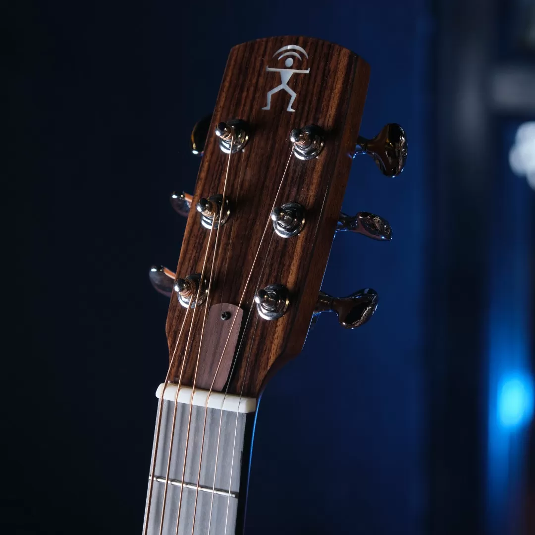 Тревел гитара aNueNue M52