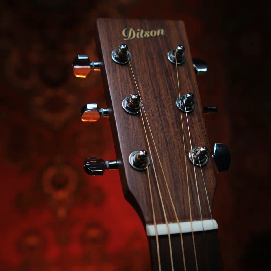 Акустическая гитара Ditson G-10