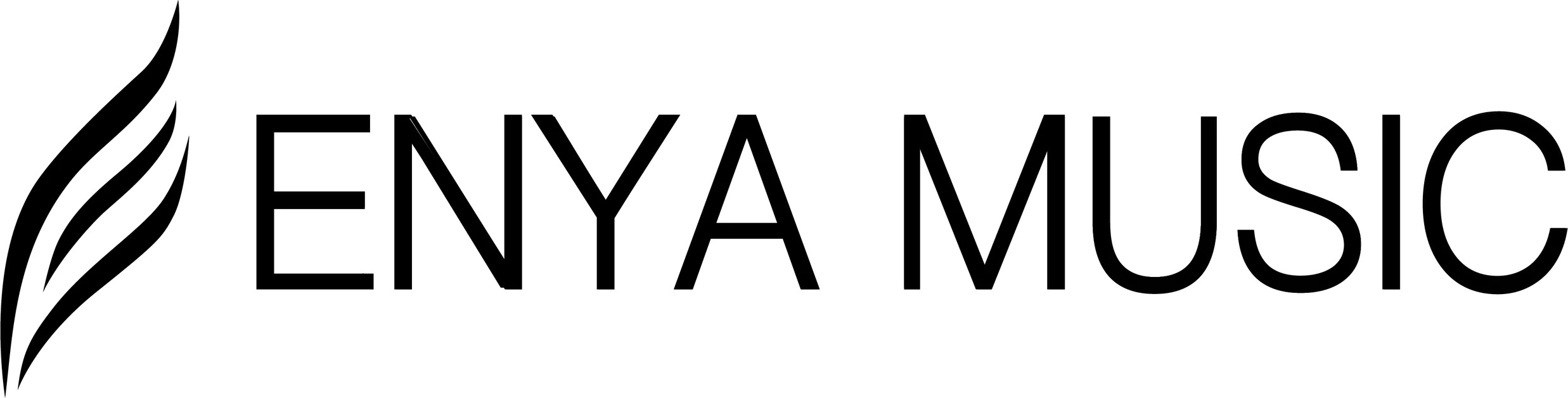 О компании Enya